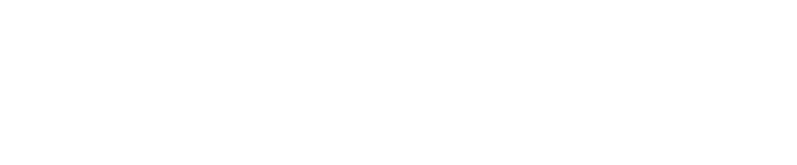 LOGO PRINCIPAL HORIZONTAL - BLANCO